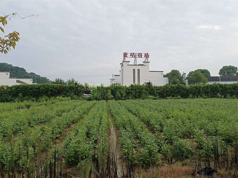 （破產(chǎn)拍賣(mài)）湖南棕櫚潯龍河生態(tài)城鎮(zhèn)發(fā)展有限公司名下“科普基地”項(xiàng)目房地產(chǎn)